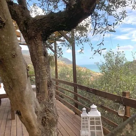 Claudia, Citra 010037-lt-0678